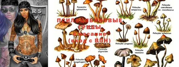 соль ск Алексин